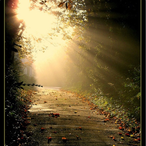 Meet your Posher, Leora - Picture 2 of 3